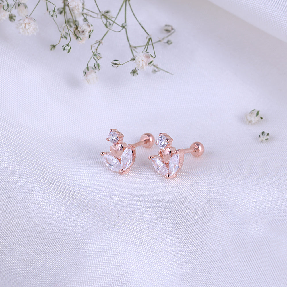 Stud2-49
