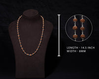 8mm-Brown-rudhraksh-mala-withcap